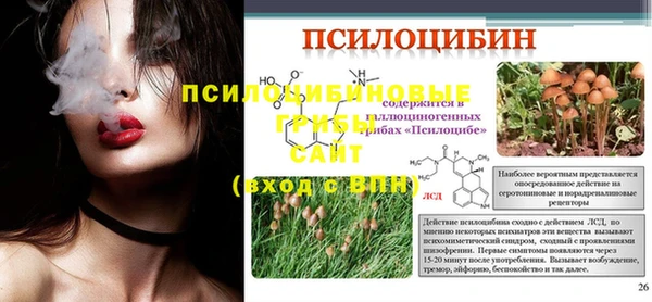 стафф Алексеевка